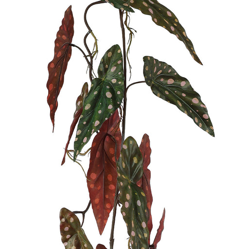 POLKA DOT HANGING BEGONIA 110CM TRAN