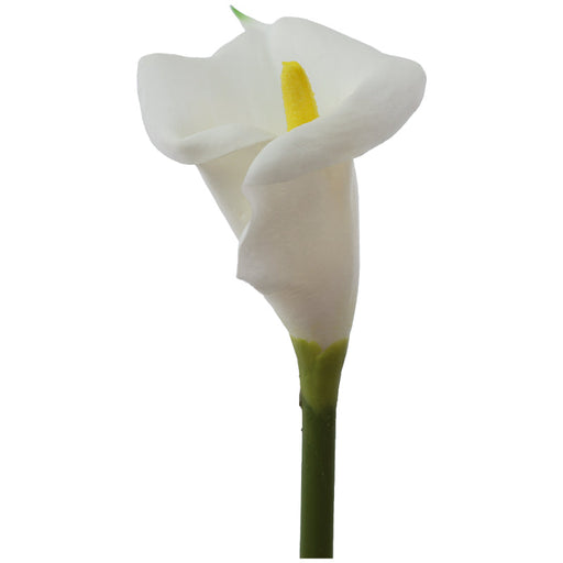 WHITE ARUM LILY 67CM TRAN