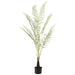 FERN IN POT 150CM TRANS NATAL CUT GLASS
