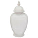 WHITE LINE GINGER JAR/LID 40CM TRAN