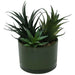 SUCCULENTS GREEN POT 18CM TRAN