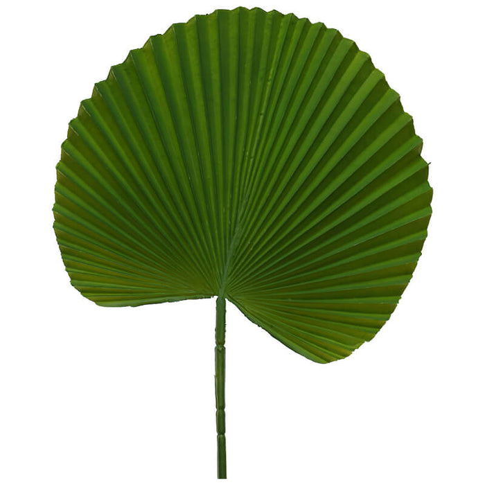 GIANT DARK GREEN FAN LEAF 80CM TRAN