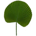 GIANT DARK GREEN FAN LEAF 80CM TRAN