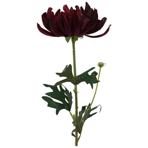 DARK PURPLE CRYSANTHEMUM 63CM TRAN