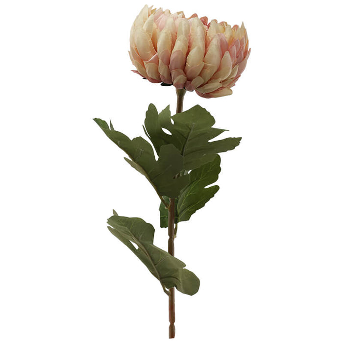 PEACH CRYSANTHEMUM 73CM TRAN