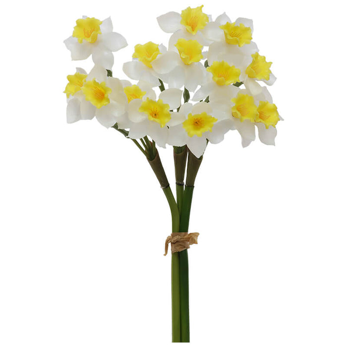 YELLOW/WHITE DAFFODIL BOUQUET 50C TRAN