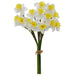 YELLOW/WHITE DAFFODIL BOUQUET 50C TRAN