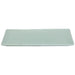 SAGE RECT PLATE 31X15CM TRAN