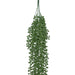 HANGING AIR PLANT 72CM TRAN