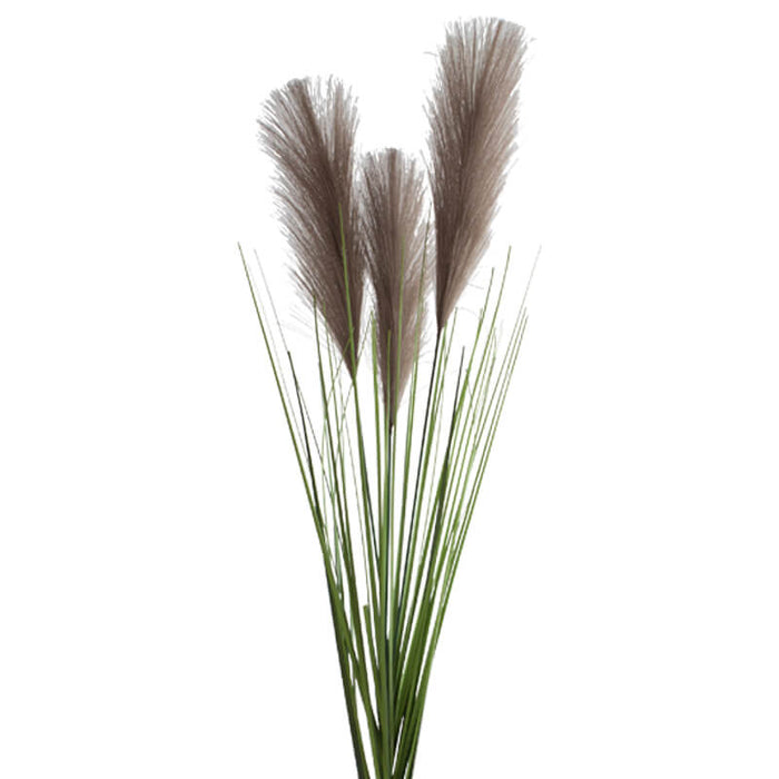 PAMPAS STEM 90CM CHARCOAL TRAN