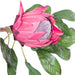 DARK PINK KING PROTEA 78CM