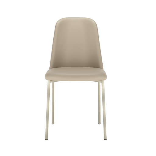 LUCILLE DINING CHAIR CHAMPAGNE/MOX 311 PROV