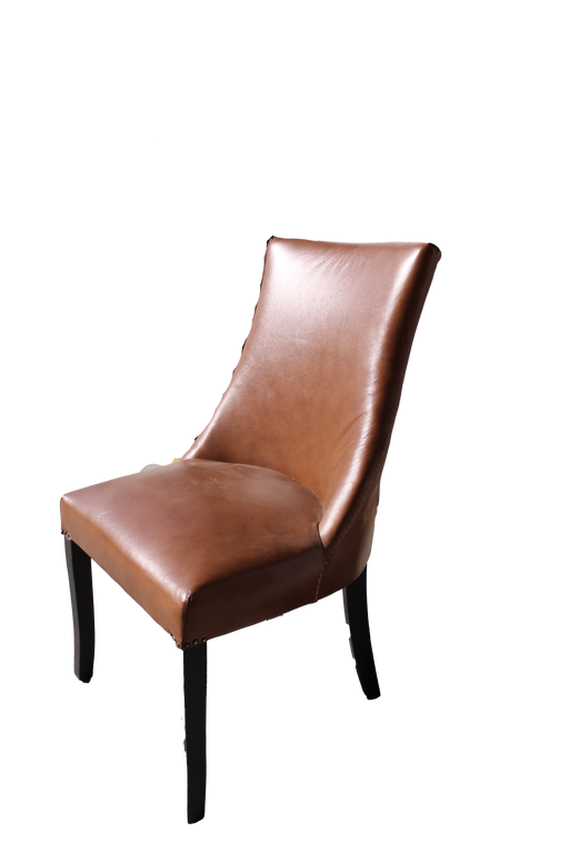 PRESIDO DINING CHAIR FULL LEATHER EAR132 EART