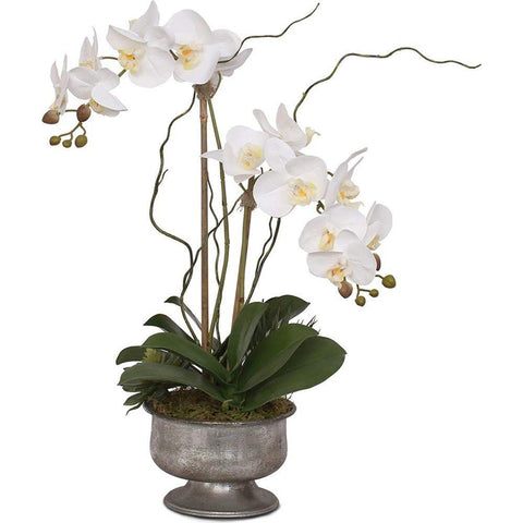 REAL TOUCH PHALAENOPSIS IN POT