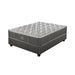 183CM SEALY CROWN JEWEL RIALTO FIRM BS EL SEAL