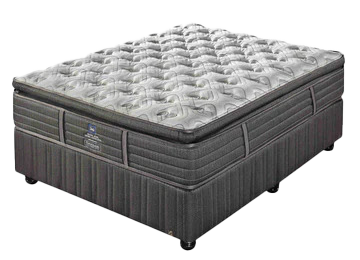 183CM SEALY CROWN JEWEL RIALTO POCKET FIRM BS EL SEAL