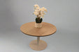 STL-CT12 MEETING TABLE 1200X750MM 77FZ08