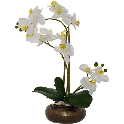 WHITE ORCHID IN BRONZE POT