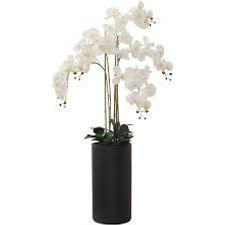 WHITE REAL TOUCH ORCHID 1 TRAN