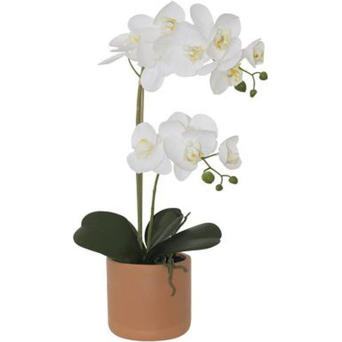 WHITE REAL TOUCH ORCHID 52CM TRANS NATAL CUT GLASS