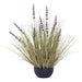 PURPLE LAVENDER YOUNG GRASS 74CM