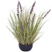 PURPLE LAVENDER YOUNG GRASS 62CM