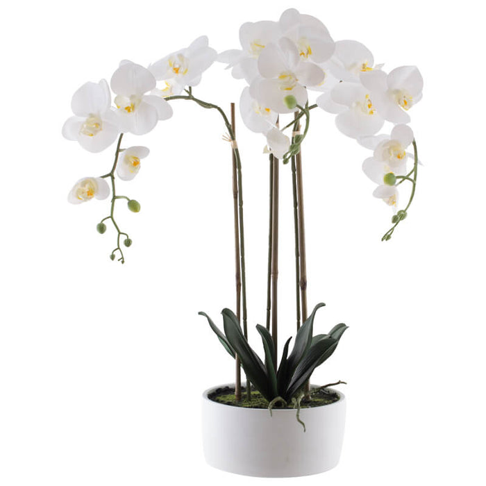 REAL TOUCH WHITE ORCHID IN POT 60  TRAN
