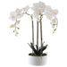 REAL TOUCH WHITE ORCHID IN POT 60  TRAN