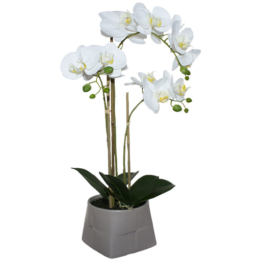 White orchid in beige pot ornament decor