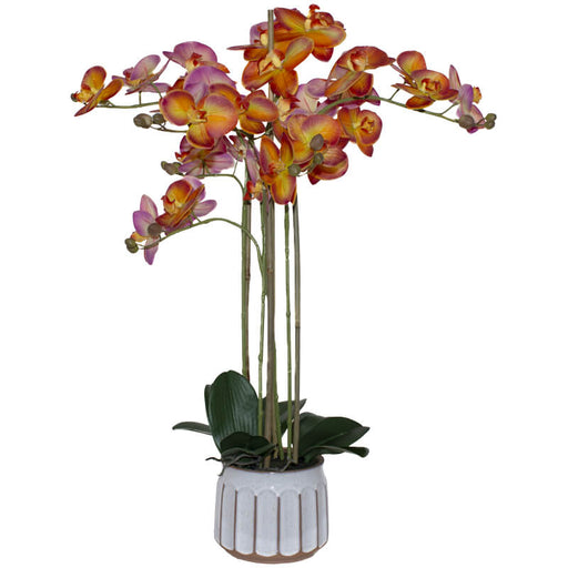 ORANGE ORCHID IN POT 74CM TRANS NATAL CUT GLASS