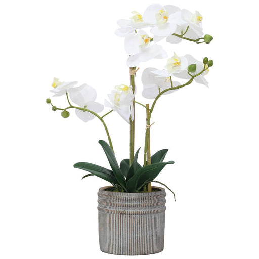 REAL TOUCH WHITE ORCHID IN POT 53 TRANS NATAL CUT GLASS