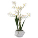 REAL TOUCH WHITE ONCIDIUM 56CM TRAN