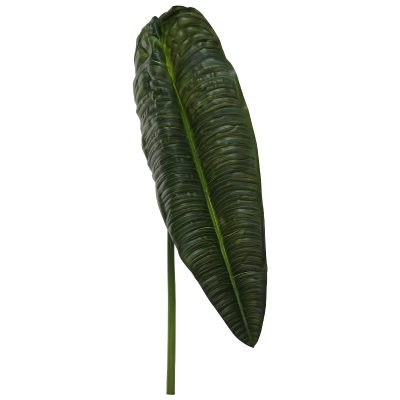 DARK GREEN ANTHIRIUM LEAF 86CM TRAN