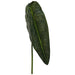 DARK GREEN ANTHIRIUM LEAF 86CM TRAN