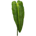BRIGHT GREEN ANTHIIUIM LEAF 86CM TRAN