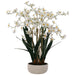 WHITE ONCIDIUM IN WHITE POT 72CM TRAN