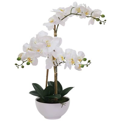 WHITE REAL TOUCH ORCHID IN POT 61CM TRAN