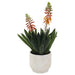 ALOE IN POT 43CM TRAN