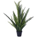 BOSTON FERN 76CM