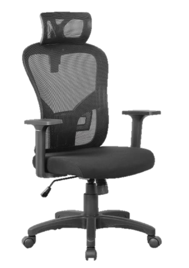 LINX HARRISON HB MESH CHAIR CDEN