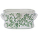 GREEN PARROT PLANTER 49X31X21CM TRAN