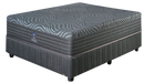 152CM SEALY SOLAY FIRM BS SL SEAL