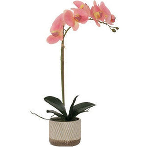 TWO TONE PINK ORCHID 48CM